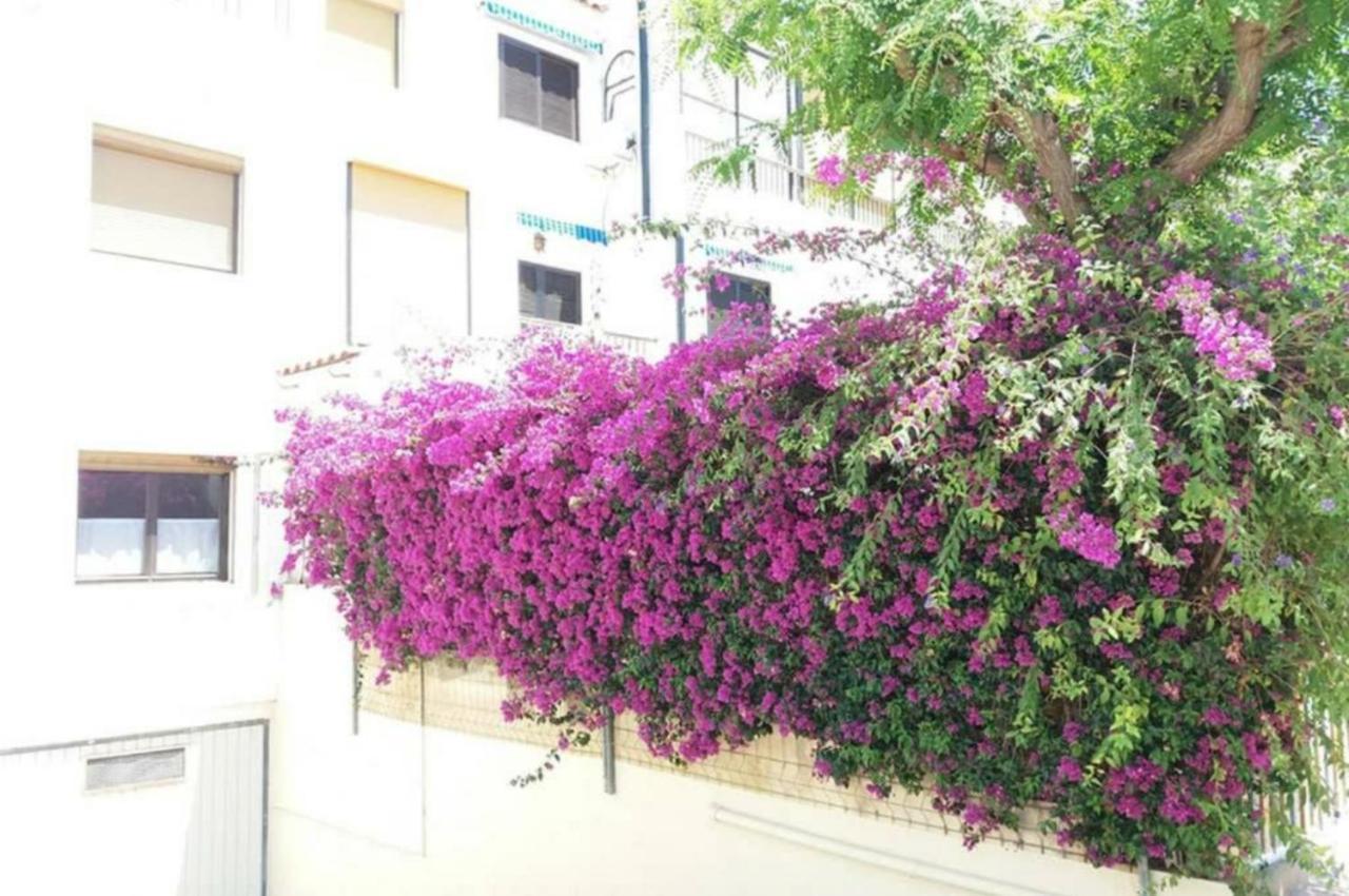 Bungalow Con Encanto, 100M2, A 800 M De La Playa El Campello Eksteriør bilde